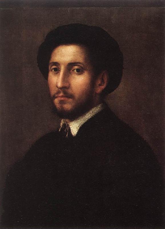 FOSCHI, Pier Francesco Portrait of a Man sdgh oil painting picture